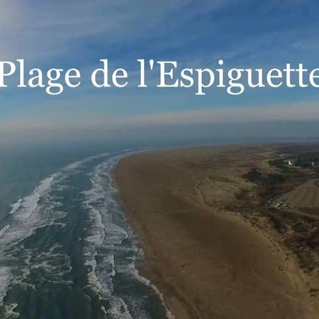 Grand Studio Au Grau-Du-Roi Proche Seaquarium Et Plage لو غراو دو روا المظهر الخارجي الصورة